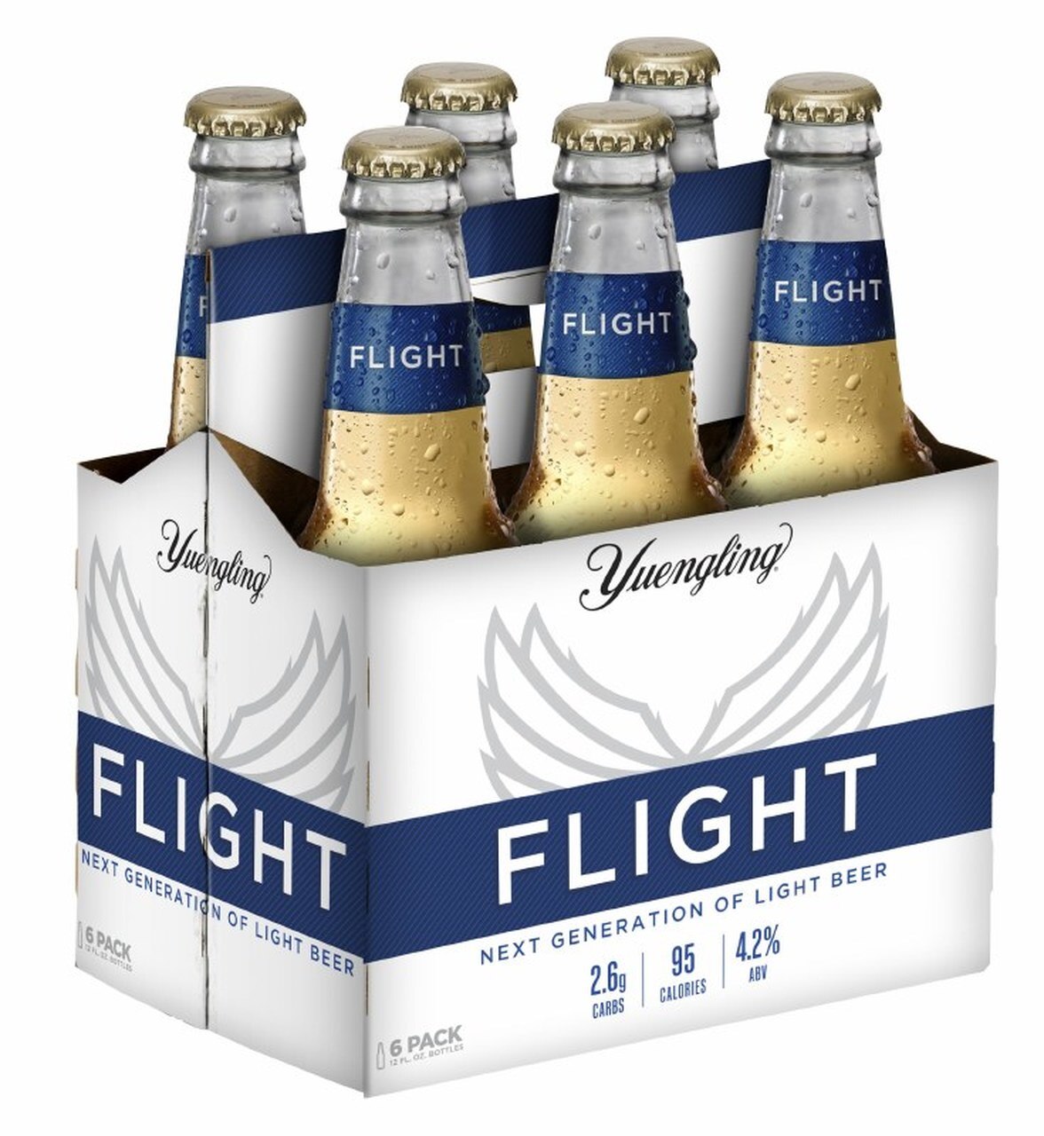 images/beer/DOMESTIC, IMPORTED BEER, OTHERS BEERS/Yuengling Flight 6pk Nr.jpg